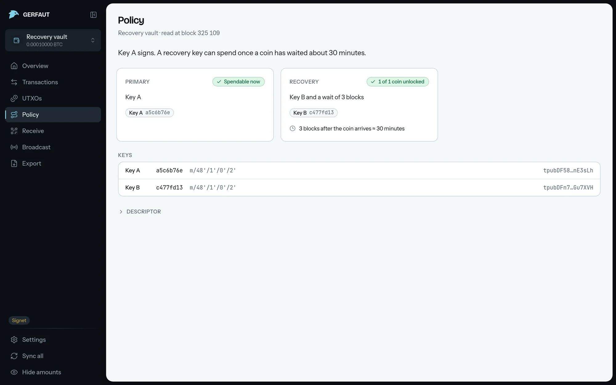 The Policy page on desktop for a wallet with a recovery path: the summary sentence, the Primary and Recovery cards, the Keys table and the collapsed Descriptor.