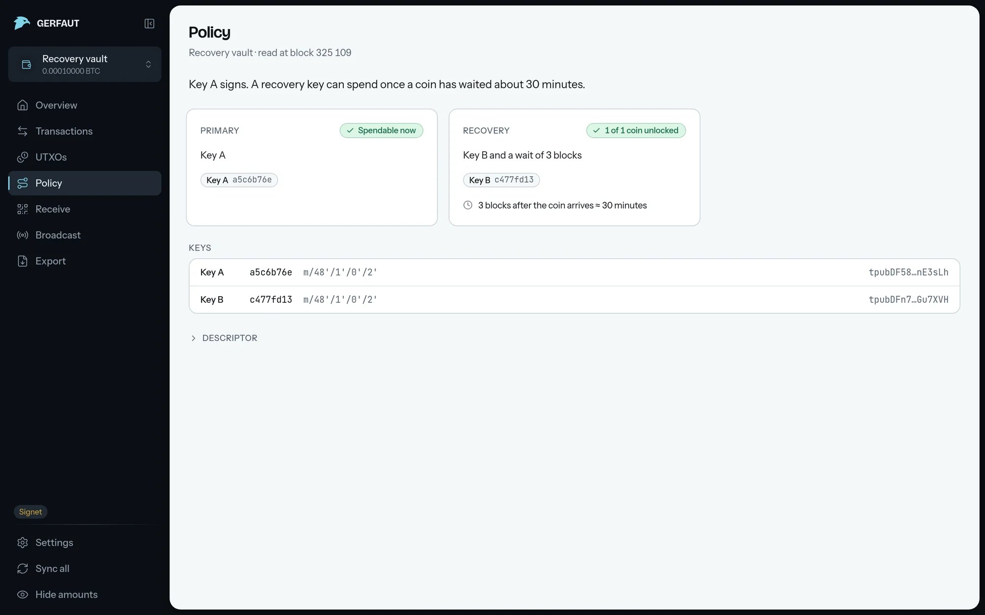 The Policy page on desktop for a wallet with a recovery path: the summary sentence, the Primary and Recovery cards, the Keys table and the collapsed Descriptor.